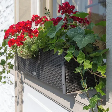 Hotel Hotel Residence