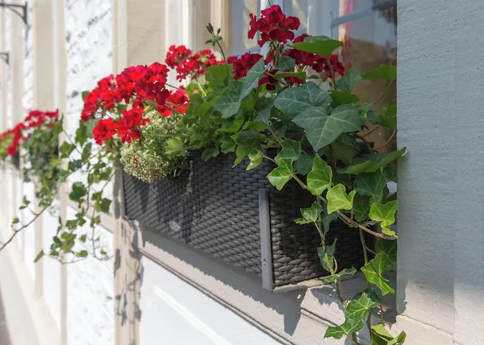 Hotel Hotel Residence